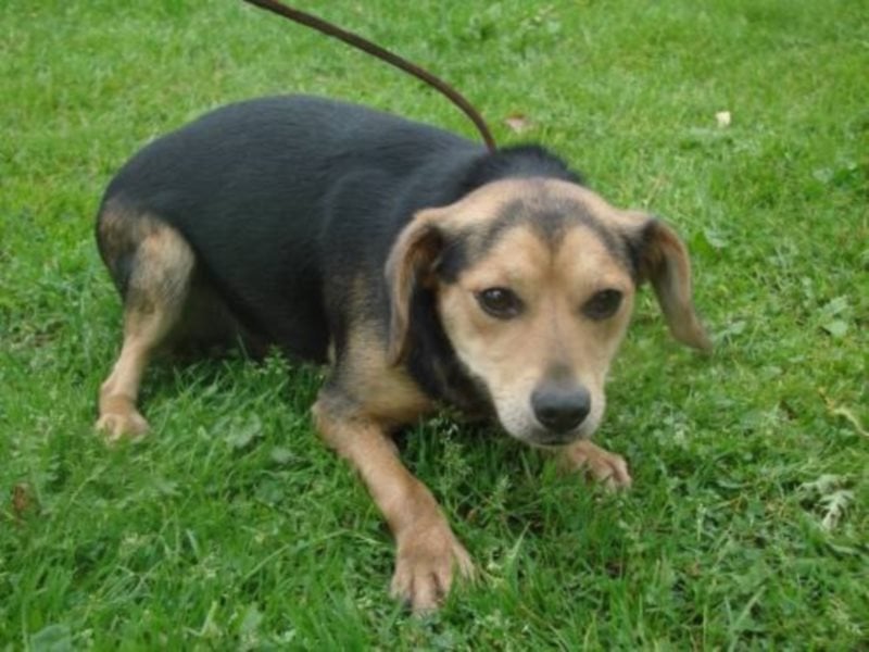 Ich möchte so gerne wieder den Menschen vertrauen... 