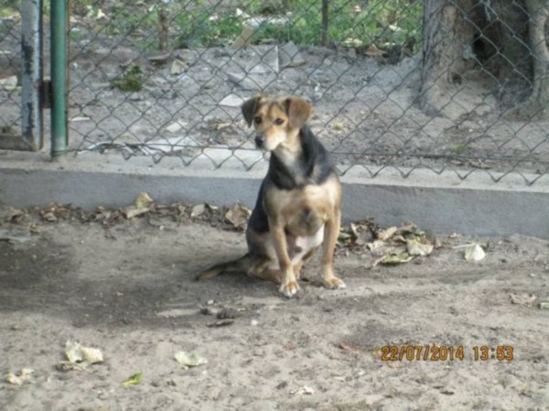 Ich möchte so gerne wieder den Menschen vertrauen... 