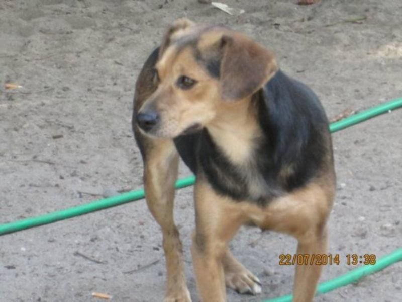 Ich möchte so gerne wieder den Menschen vertrauen... 