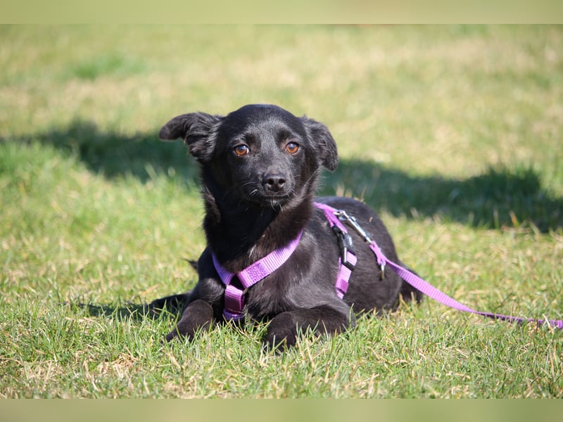 Minda unsere kleine Schönheit..