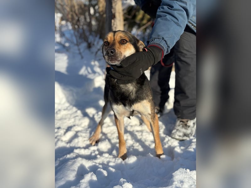 Alek bereit für ein neues Leben an deiner Seite