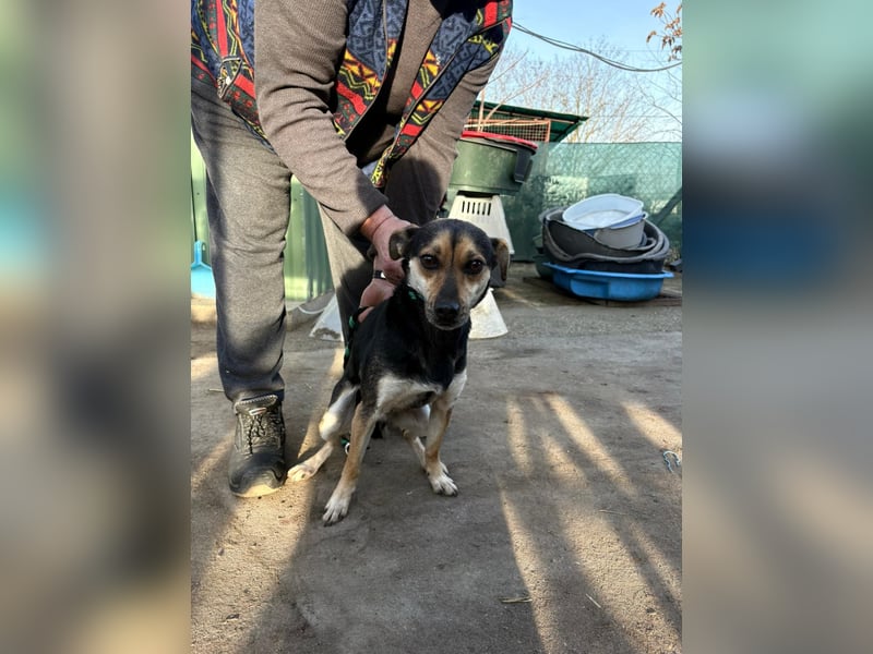 Alek bereit für ein neues Leben an deiner Seite