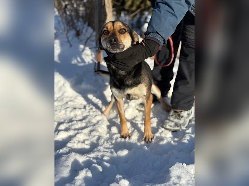 Alek bereit für ein neues Leben an deiner Seite