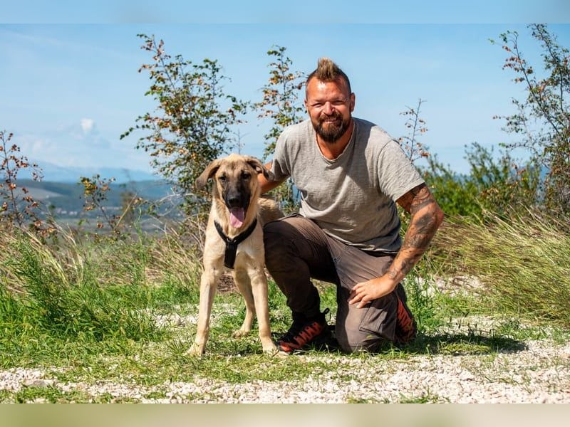 Kajan hofft, von seinen Menschen gefunden zu werden