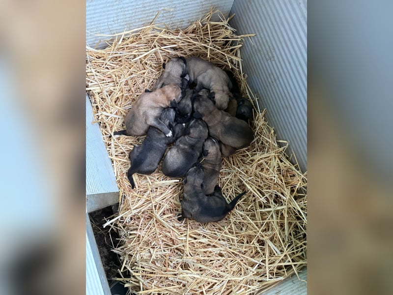 Nevin bereit für ein neues Leben an deiner Seite