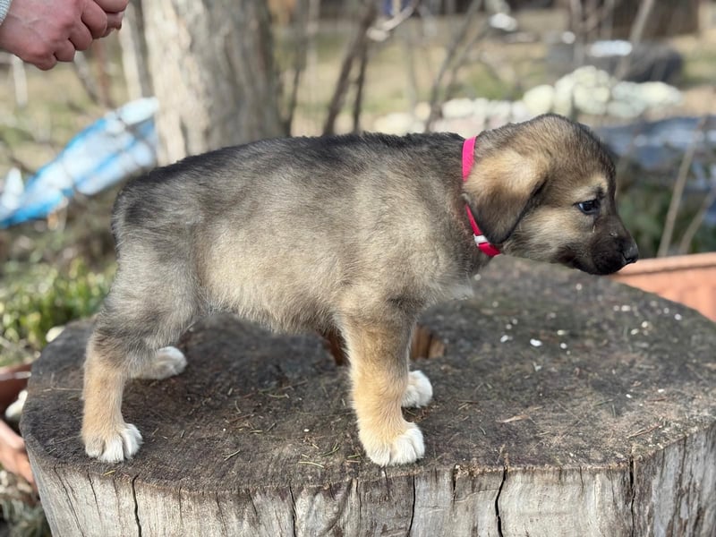 Nevin bereit für ein neues Leben an deiner Seite