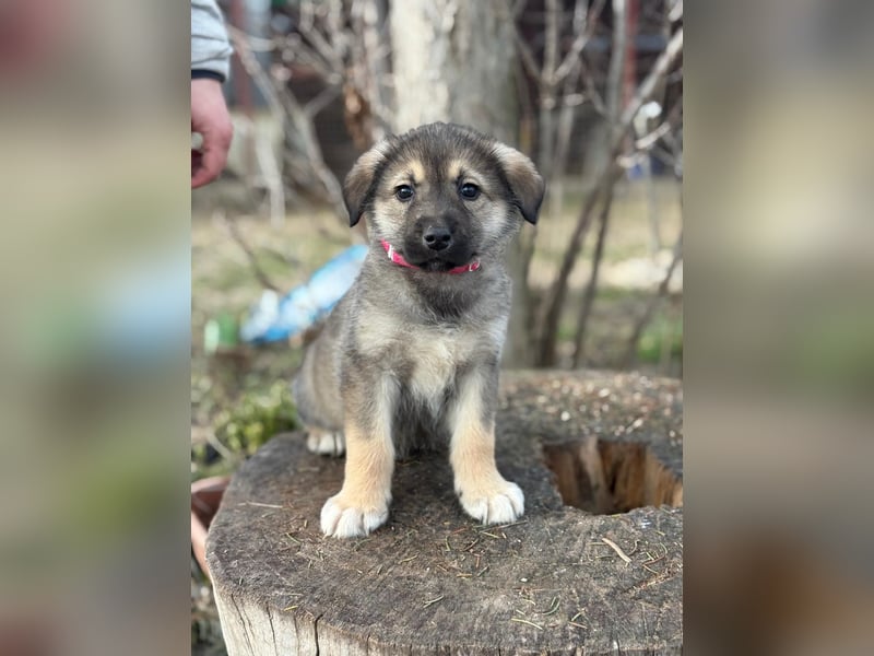 Nevin bereit für ein neues Leben an deiner Seite