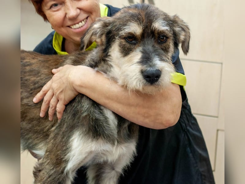 Christopher - Bester Freund (Ukraine)