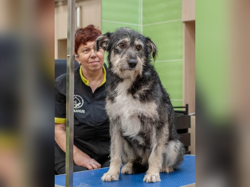 BAGEL Freundlicher Allrounder (Ukraine)