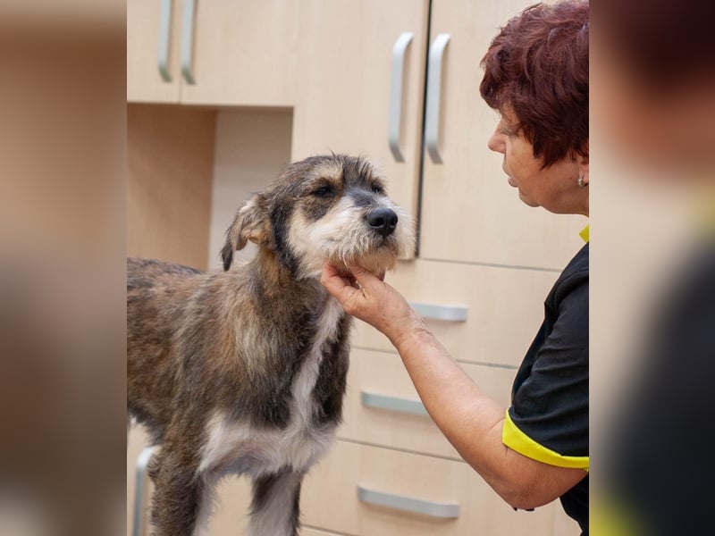 Christopher - Bester Freund (Ukraine)