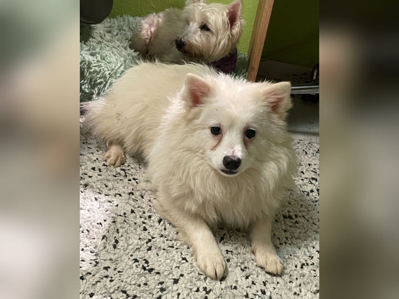 Ted SR, sucht Liebe und Zuneigung Ted SR, sucht Liebe und Zuneigung