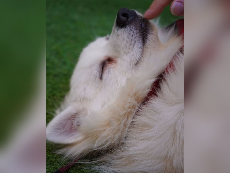 Ted SR, sucht Liebe und Zuneigung Ted SR, sucht Liebe und Zuneigung