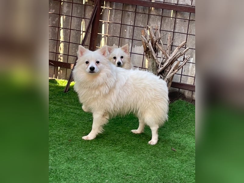 Ted SR, sucht Liebe und Zuneigung Ted SR, sucht Liebe und Zuneigung