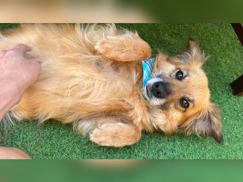 Copper sucht sein neues Glück