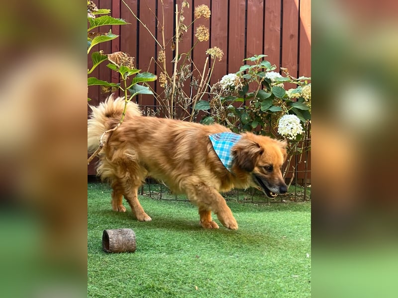 Copper sucht sein neues Glück