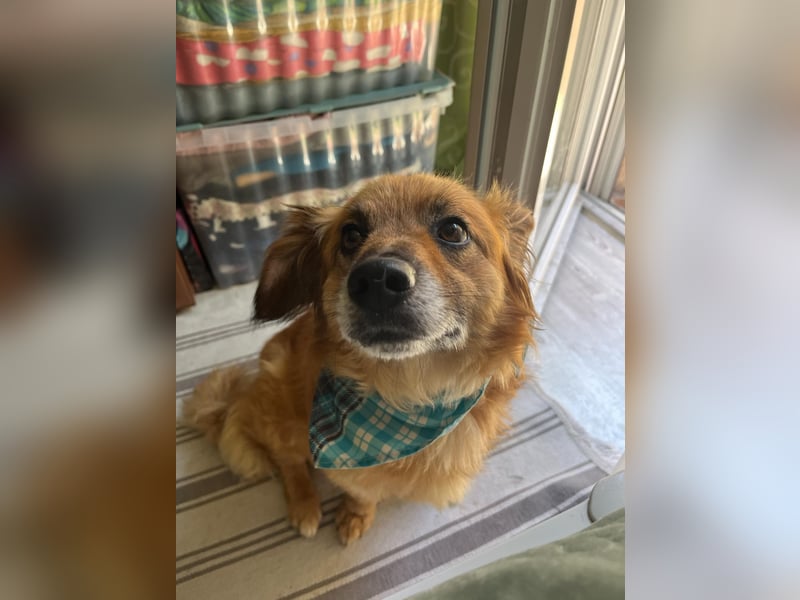Copper sucht sein neues Glück
