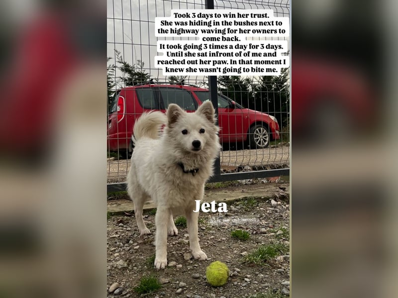 Jeta (1) ist eine junge, gesunde Maus mit Energie