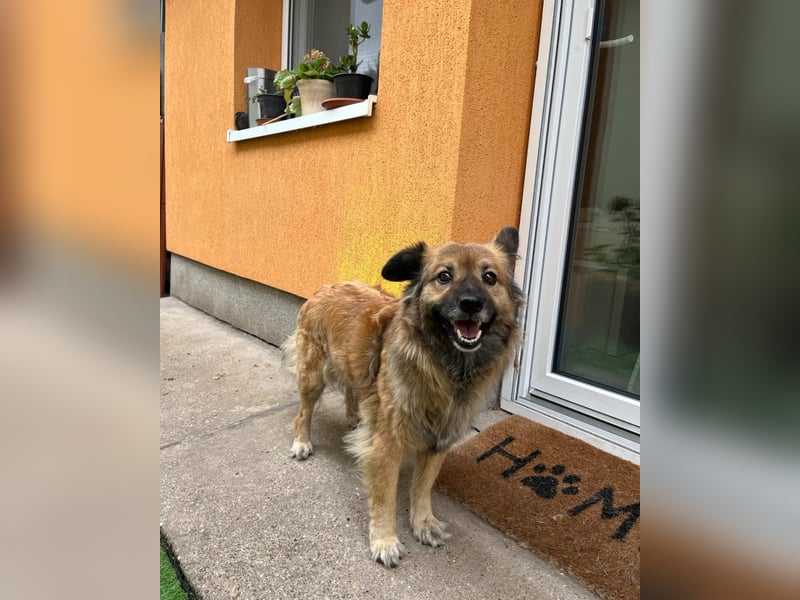 Fiona SR, voller Neugier und Sanftmut Fiona SR, voller Neugier und Sanftmut