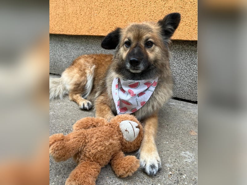 Fiona SR, voller Neugier und Sanftmut Fiona SR, voller Neugier und Sanftmut