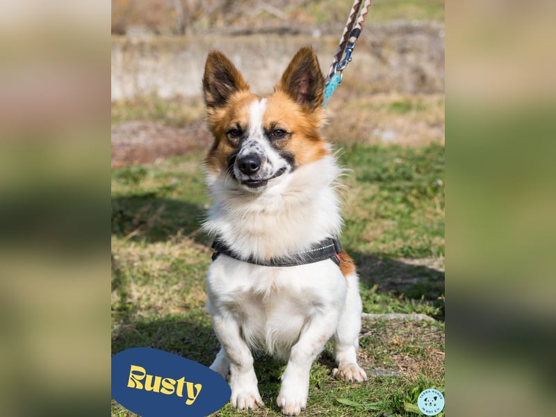 Rusty SI - selbstbewusst, klug