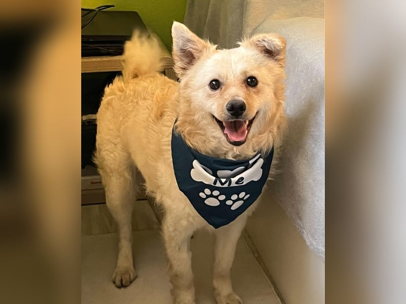 Lukas SR - verträglich, sanft