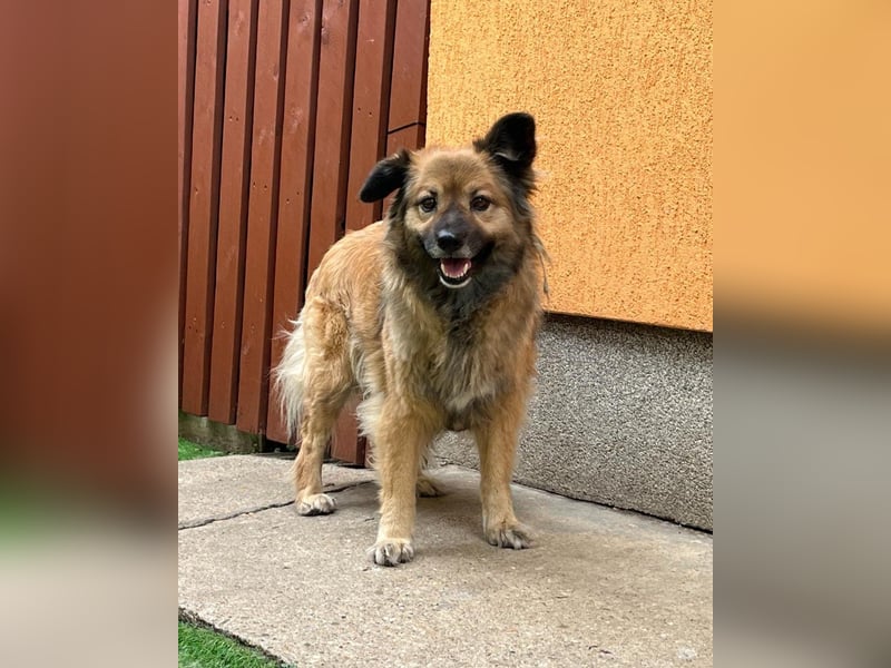 Fiona SR, voller Neugier und Sanftmut Fiona SR, voller Neugier und Sanftmut