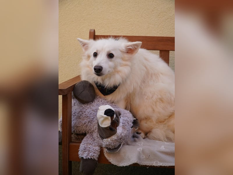 Timm sucht warmherziges Zuhause