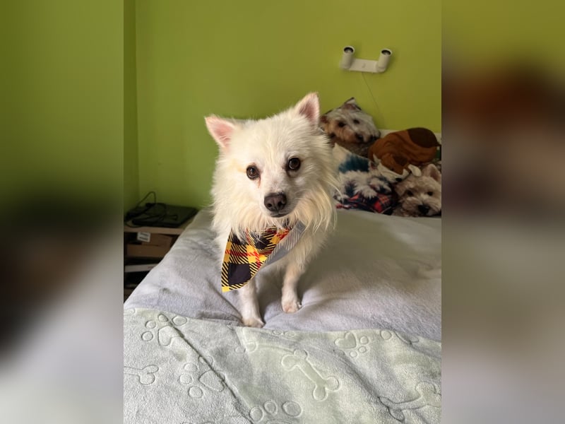 Eddy sucht Kuscheleinheiten!