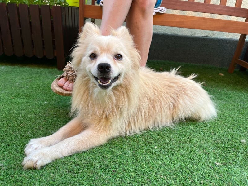 Maddox SR - Kuschelbär möchte Auftauen