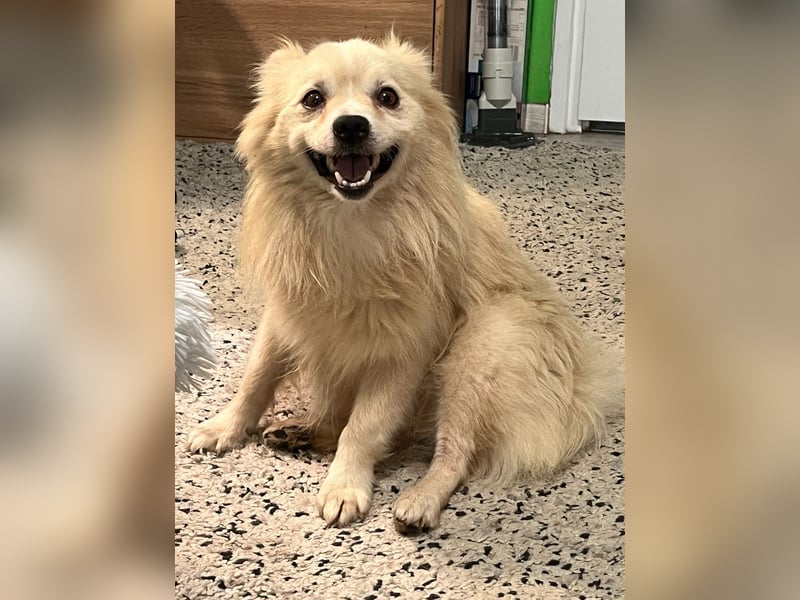 Maddox SR - Kuschelbär möchte Auftauen