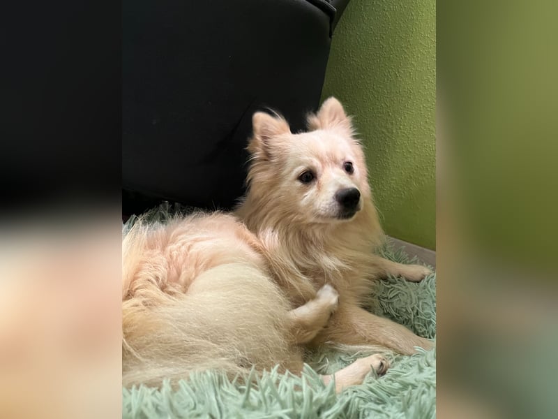 Maddox SR - Kuschelbär möchte Auftauen