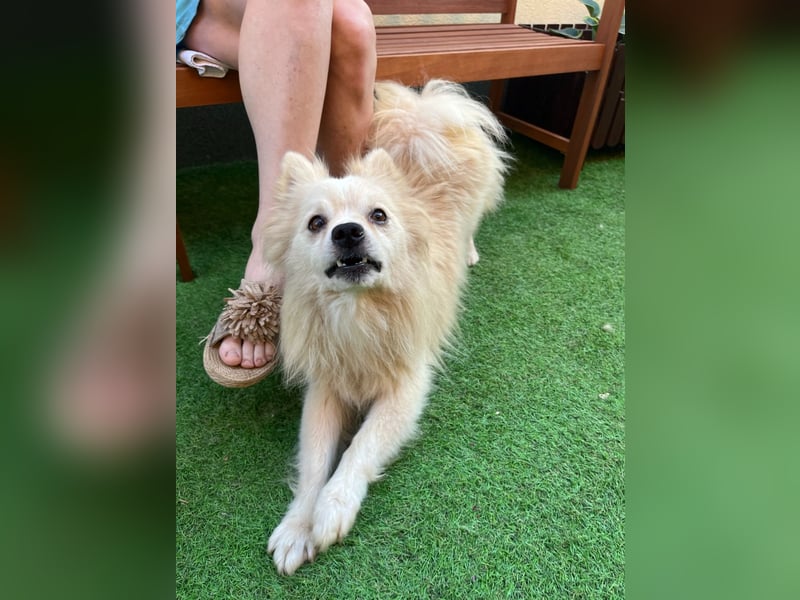 Maddox SR - Kuschelbär möchte Auftauen