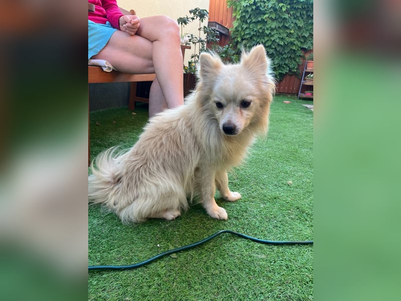 Maddox SR - Kuschelbär möchte Auftauen