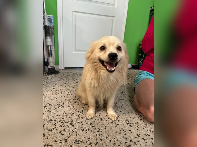 Maddox SR - Kuschelbär möchte Auftauen