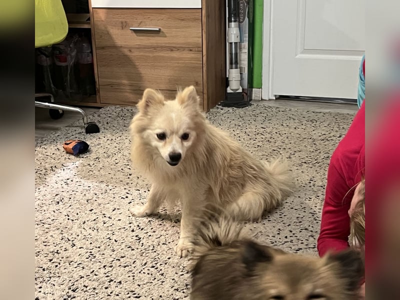 Maddox SR - Kuschelbär möchte Auftauen