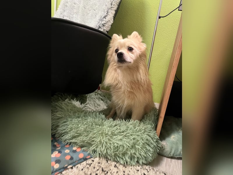 Maddox SR - Kuschelbär möchte Auftauen