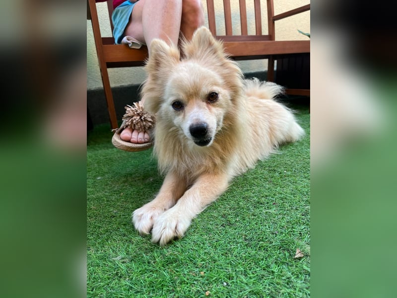 Maddox SR - Kuschelbär möchte Auftauen