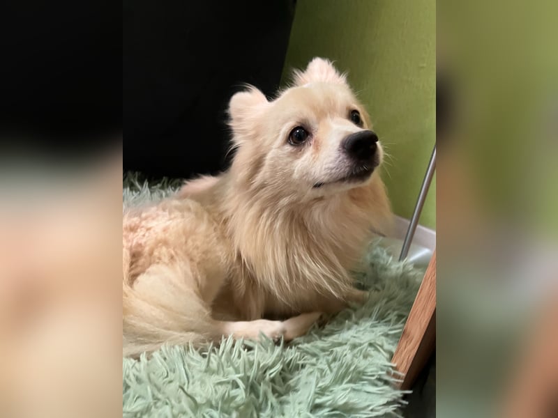 Maddox SR - Kuschelbär möchte Auftauen