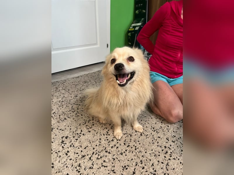 Maddox SR - Kuschelbär möchte Auftauen