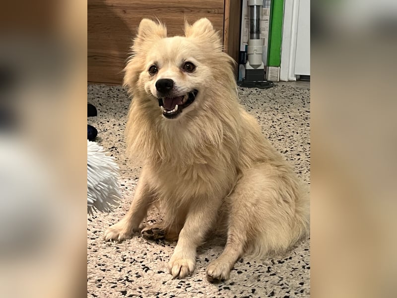 Maddox SR - Kuschelbär möchte Auftauen