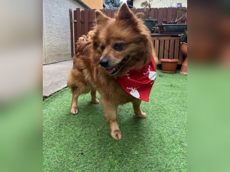 Nola SR - aufgeschlossen, neugierig