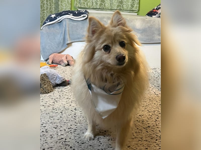 Ivy - freundlich, aufgeschlossen