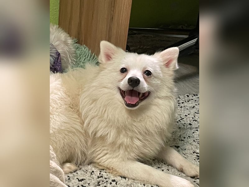 Ted SR, sucht Liebe und Zuneigung