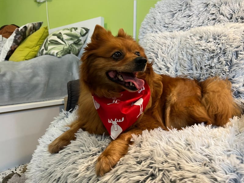 Nola SR - aufgeschlossen, neugierig