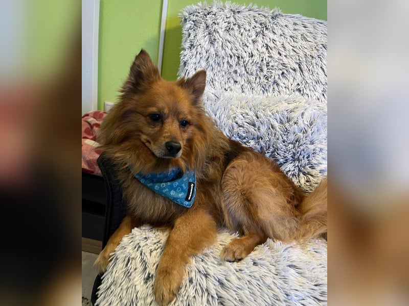 Arthur SR - freundlich, aufgeschlossen