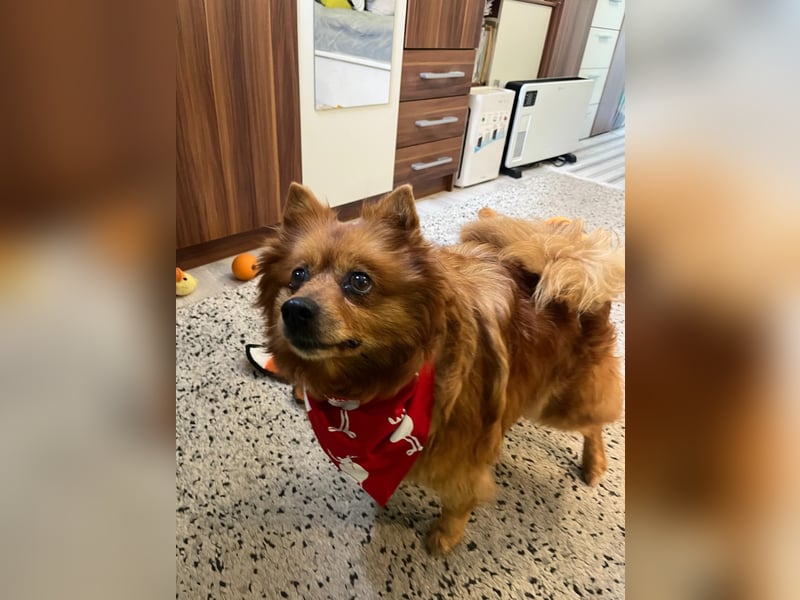 Nola SR - aufgeschlossen, neugierig