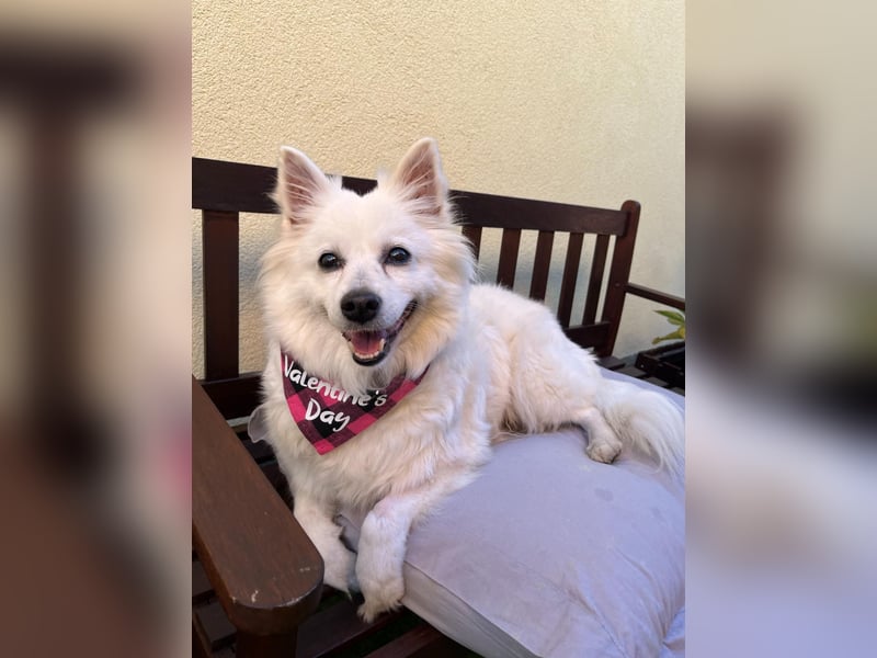 Ariel SR, ein liebenswertes Mädchen