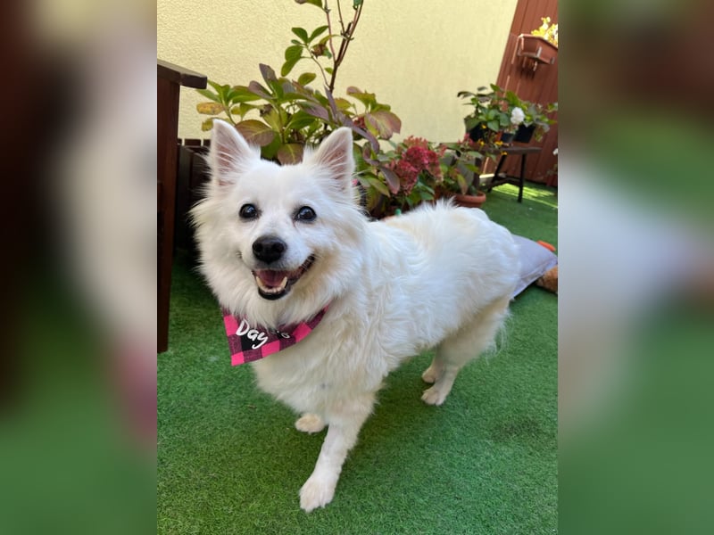 Ariel SR, ein liebenswertes Mädchen