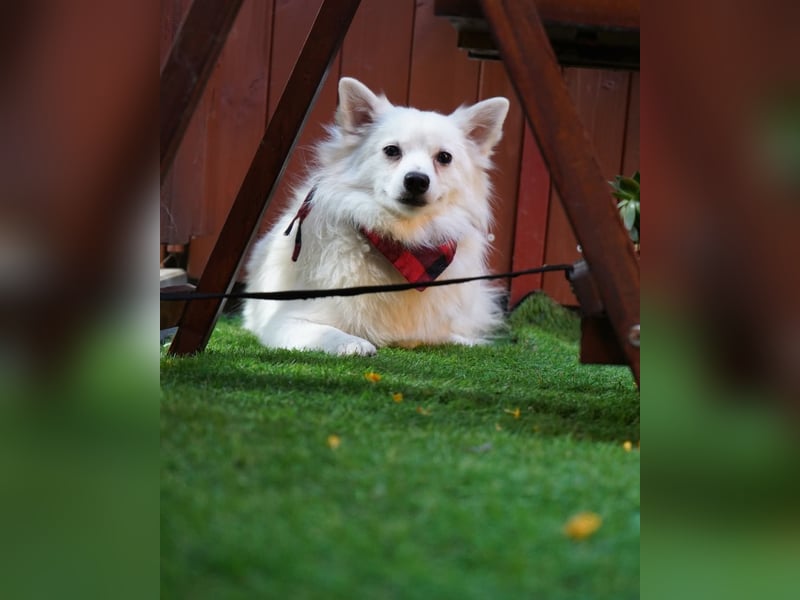 Ted SR, sucht Liebe und Zuneigung