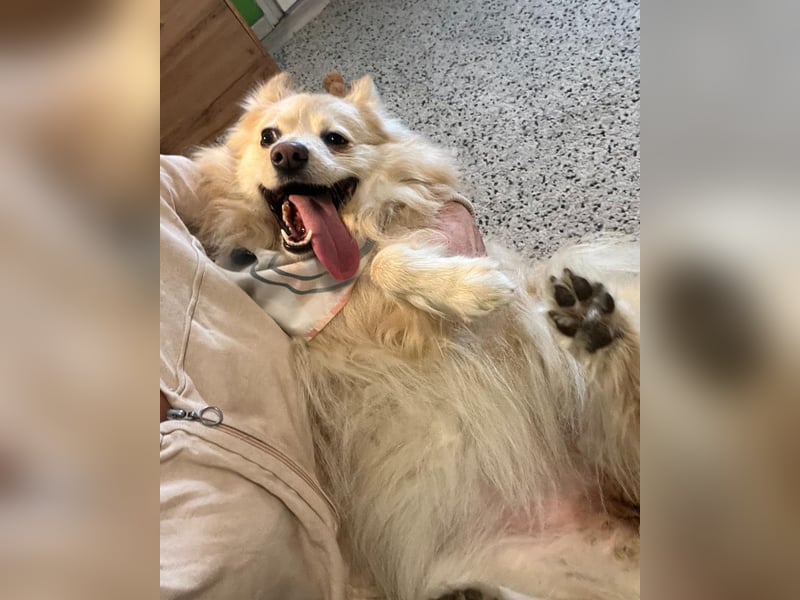 Ivy - freundlich, aufgeschlossen